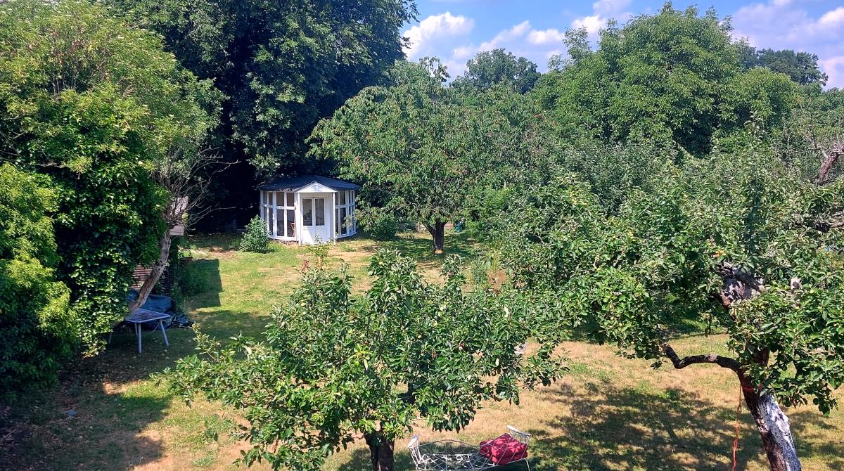 Blick über unseren Hausgarten am Park von Sanssouci